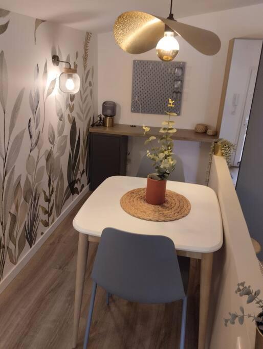 Les Salenques Apartment ตูลูส ภายนอก รูปภาพ