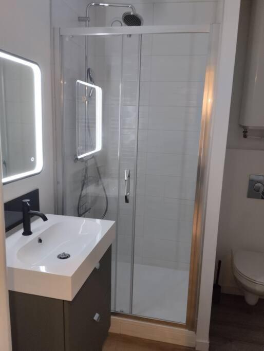 Les Salenques Apartment ตูลูส ภายนอก รูปภาพ