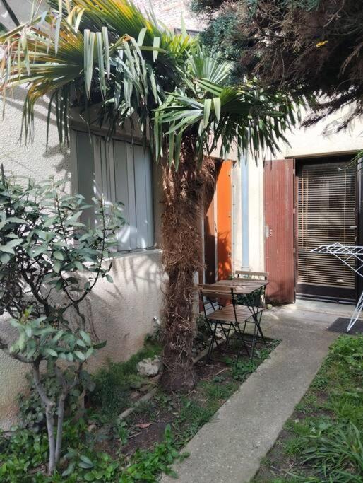 Les Salenques Apartment ตูลูส ภายนอก รูปภาพ