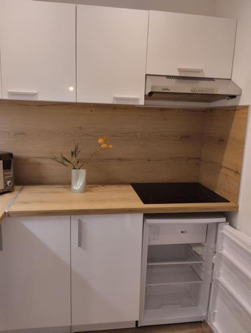 Les Salenques Apartment ตูลูส ภายนอก รูปภาพ
